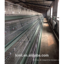 The top 4 layers of the broiler chicken cage shipped to South Africa